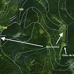 Gretel De La Ferme Du Schneeberg *