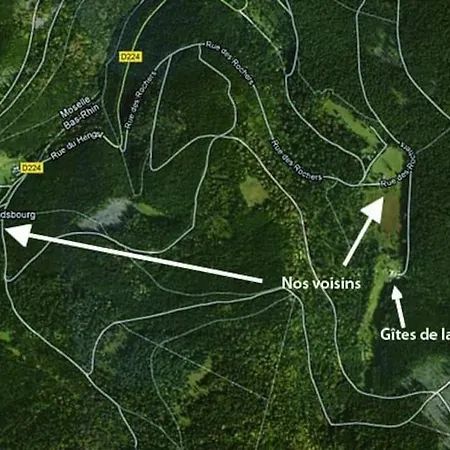 Gretel De La Ferme Du Schneeberg *