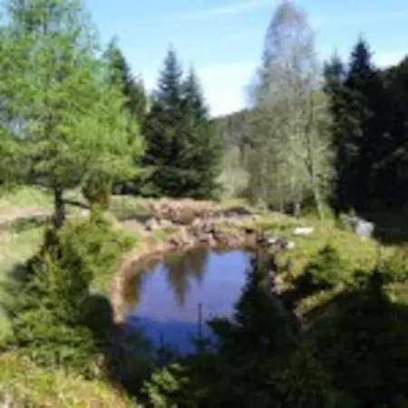 Apartamento Gretel De La Ferme Du Schneeberg Wangenbourg-Engenthal