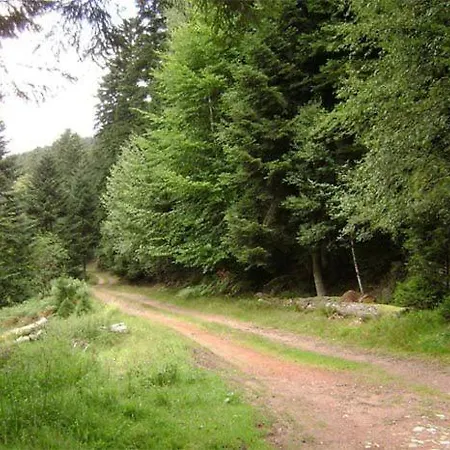 公寓 Gretel De La Ferme Du Schneeberg *