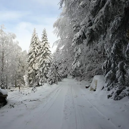 Gretel De La Ferme Du Schneeberg 公寓 万根伯格