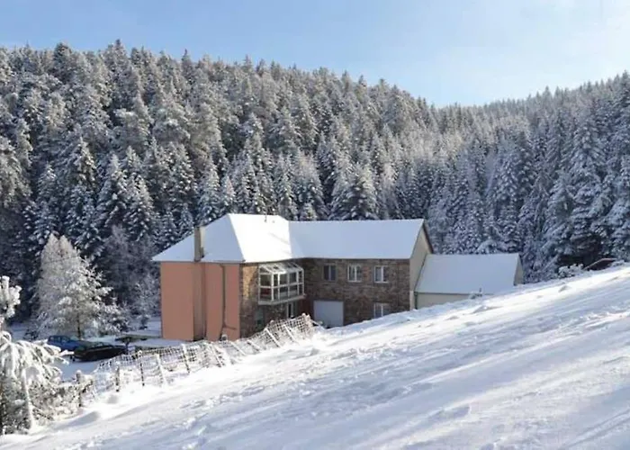 Gretel De La Ferme Du Schneeberg *