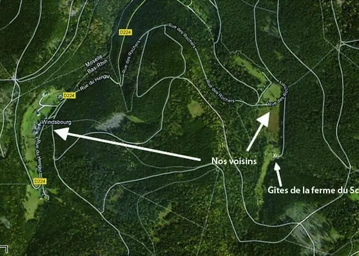 Gretel De La Ferme Du Schneeberg *