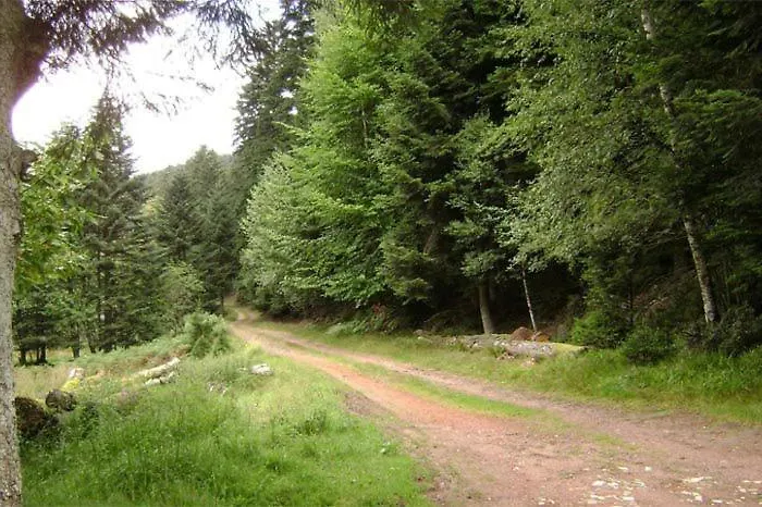 公寓 Gretel De La Ferme Du Schneeberg *