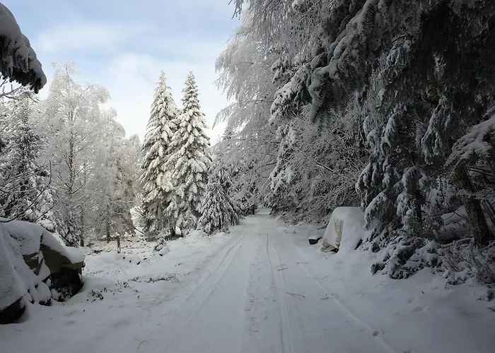 Gretel De La Ferme Du Schneeberg 公寓 万根伯格